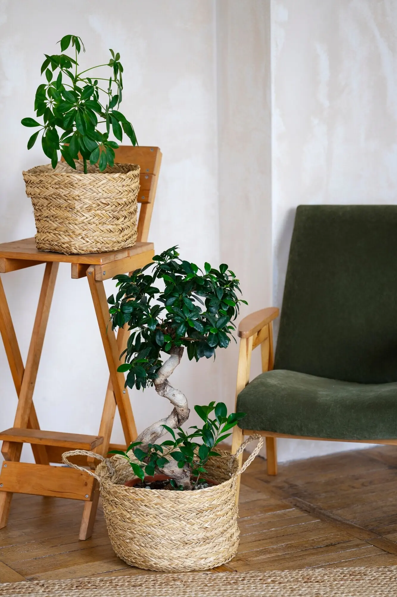 Innenraumdekoration mit Topfpflanzen